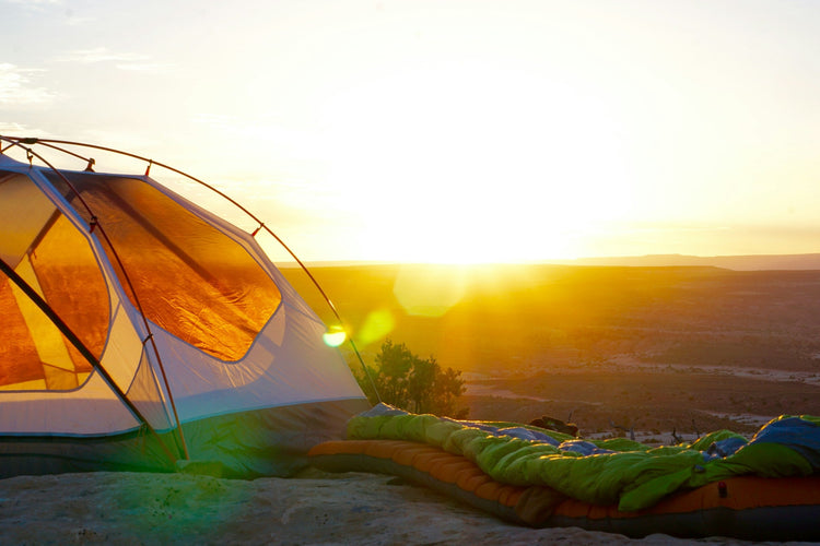 Sleeping Cots & Camping