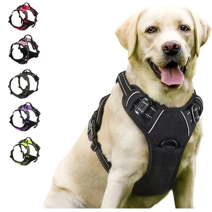 Dog Collar & Leash Set