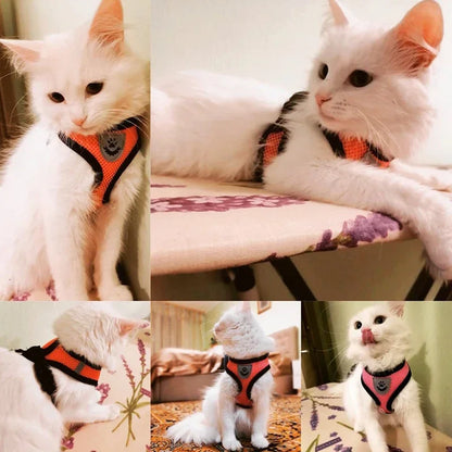 Adjustable Cat Harness Vest