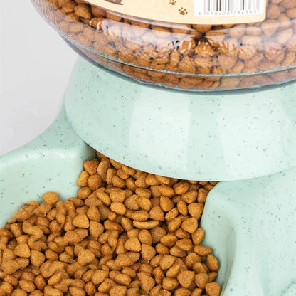 Cat & Dog Feeding Bowls