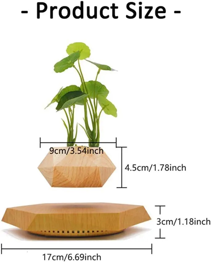 Levitating Hexagon Floating Air Bonsai Pot