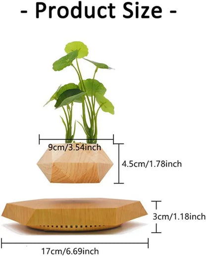 Levitating Hexagon Floating Air Bonsai Pot