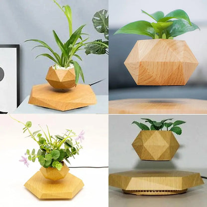 Levitating Hexagon Floating Air Bonsai Pot