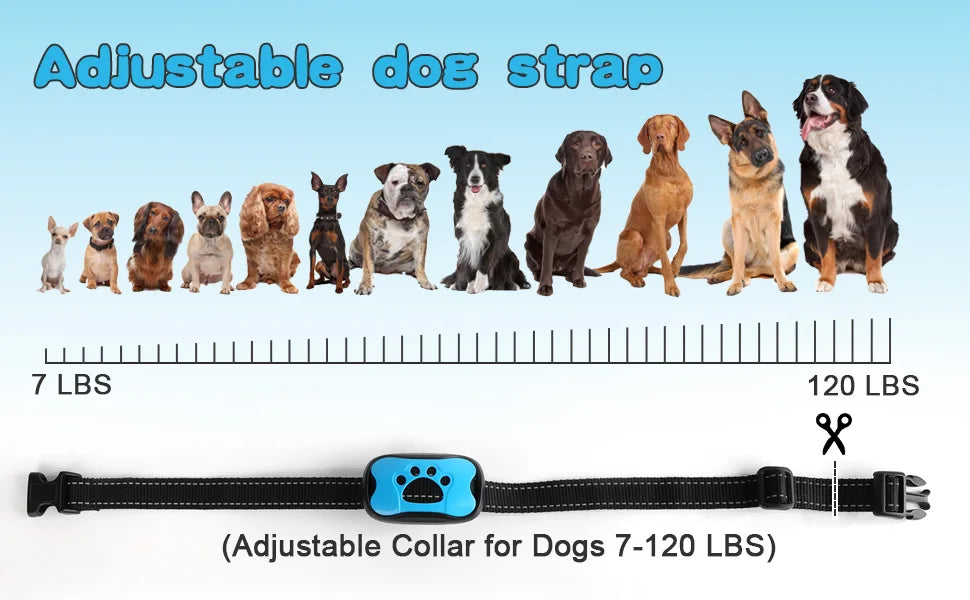 USB Rechargeable Anti-Bark Collar