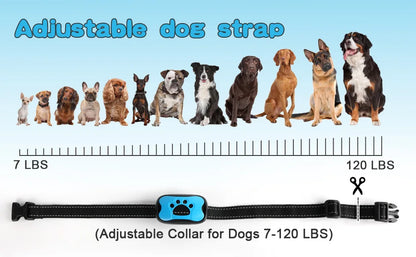 USB Rechargeable Anti-Bark Collar