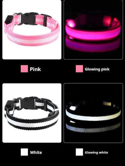 LED Glow Dog Collar