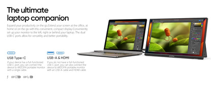 ARZOPA 17.3" HDR IPS Portable Monitor