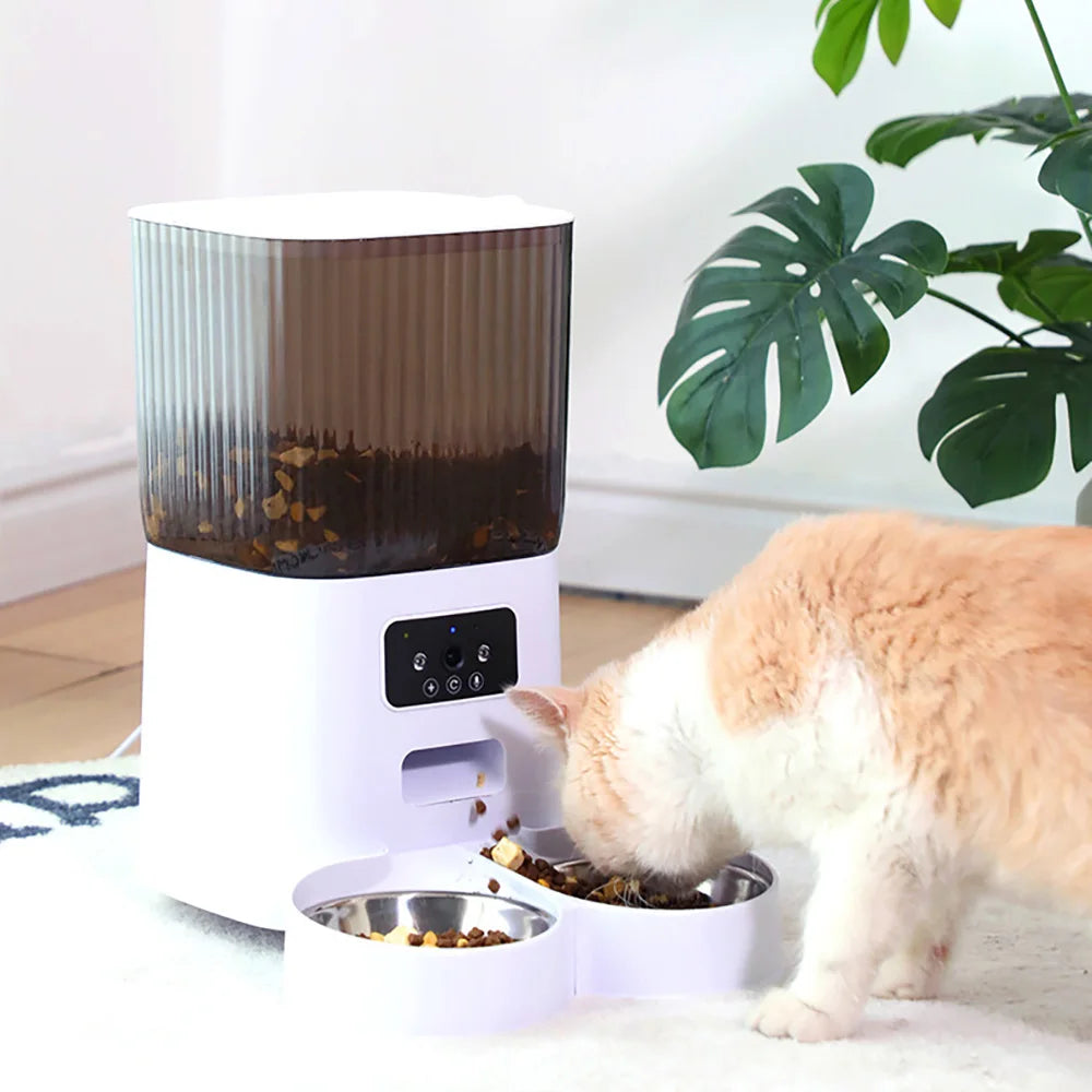 Smart Automatic Cat Feeder with Camera