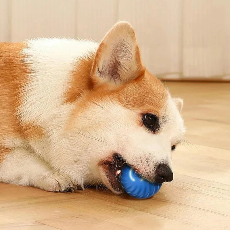 Smart Interactive Dog Toy Ball