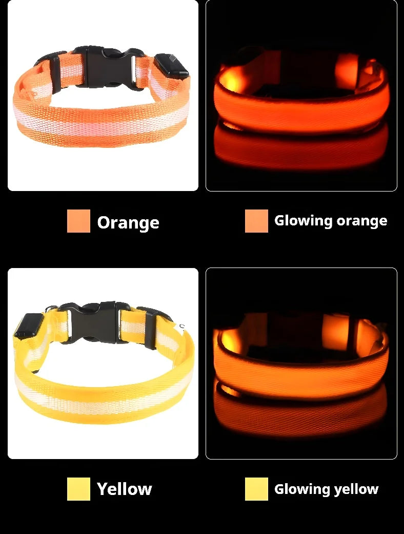 LED Glow Dog Collar