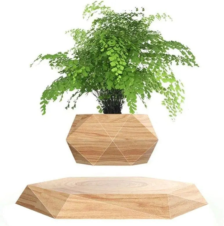 Levitating Hexagon Floating Air Bonsai Pot