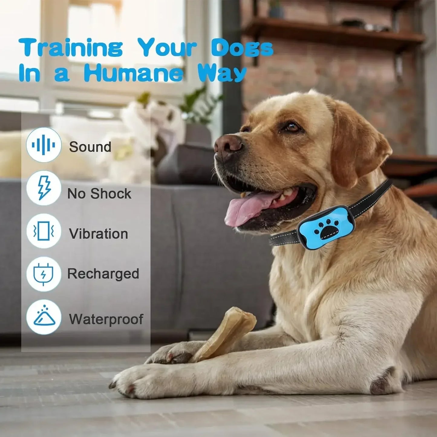 USB Rechargeable Anti-Bark Collar