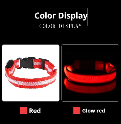 LED Glow Dog Collar