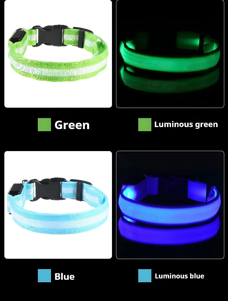 LED Glow Dog Collar