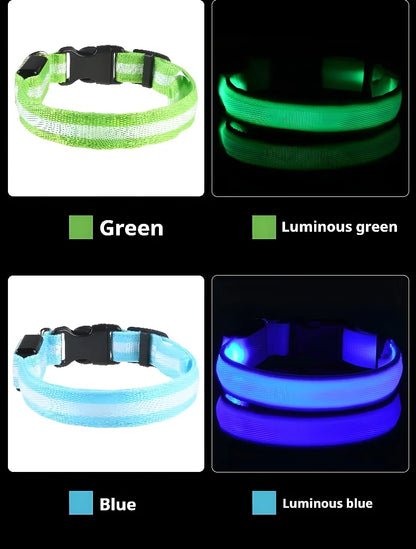 LED Glow Dog Collar