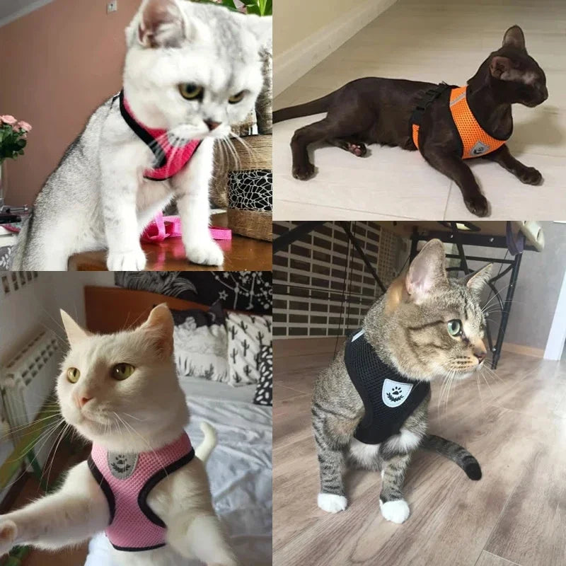 Adjustable Cat Harness Vest