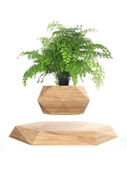 Levitating Hexagon Floating Air Bonsai Pot