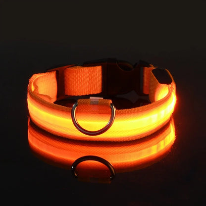 LED Glow Dog Collar