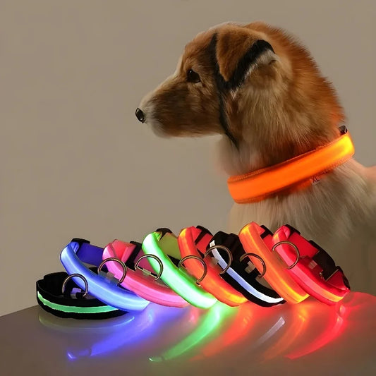 LED Glow Dog Collar