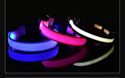 LED Glow Dog Collar