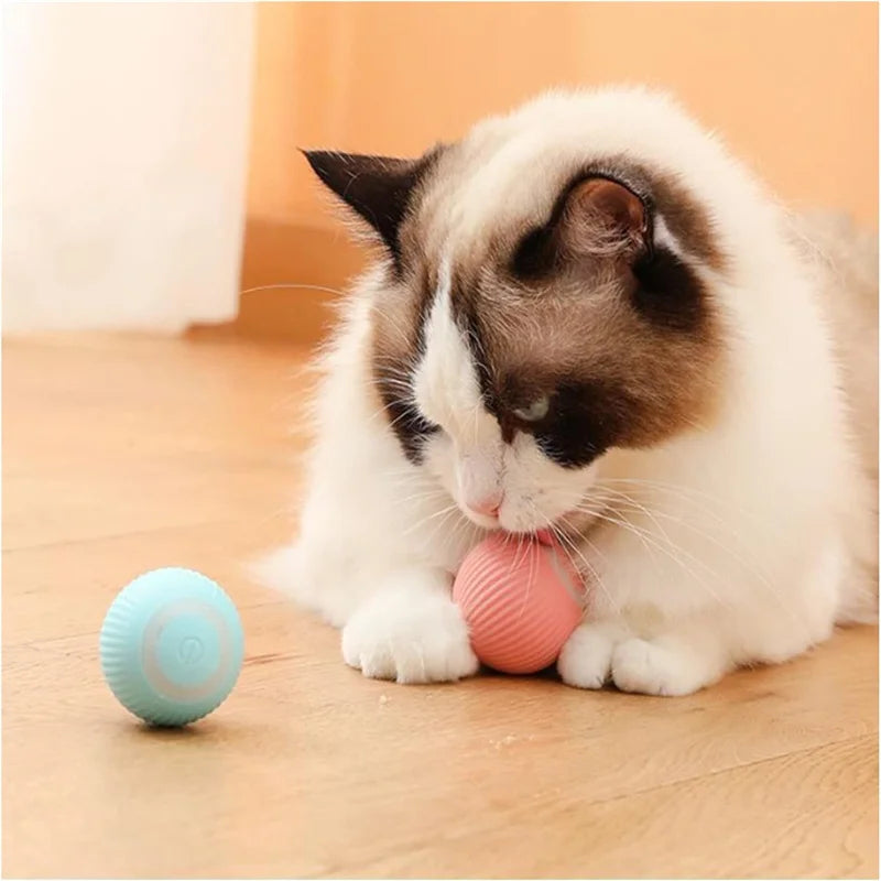 Smart Interactive Dog Toy Ball