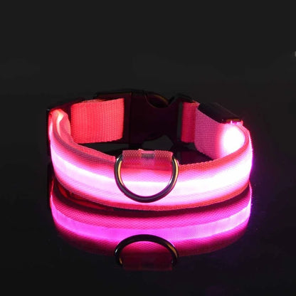 LED Glow Dog Collar