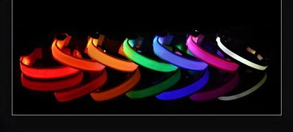 LED Glow Dog Collar