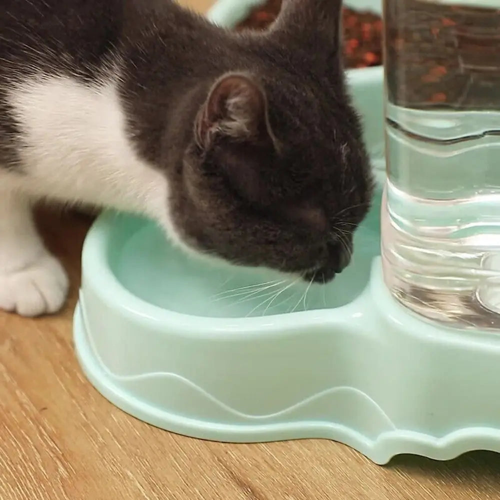 Automatic Pet Feeder & Water Dispenser