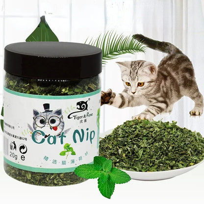 100% Natural Organic Catnip